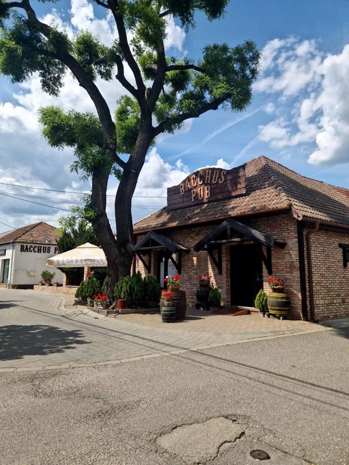Bacchus Pub Es Panzio Bed & Breakfast Dunaharaszti Ngoại thất bức ảnh
